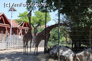 [P43]  -- <small>// FĂRĂ DESCRIERE</small> » foto by mont
 - 
<span class="allrVoted glyphicon glyphicon-heart hidden" id="av1511791"></span>
<a class="m-l-10 hidden" id="sv1511791" onclick="voting_Foto_DelVot(,1511791,12774)" role="button">șterge vot <span class="glyphicon glyphicon-remove"></span></a>
<a id="v91511791" class=" c-red"  onclick="voting_Foto_SetVot(1511791)" role="button"><span class="glyphicon glyphicon-heart-empty"></span> <b>LIKE</b> = Votează poza</a> <img class="hidden"  id="f1511791W9" src="/imagini/loader.gif" border="0" /><span class="AjErrMes hidden" id="e1511791ErM"></span>