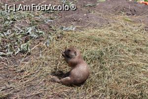 [P08]  -- <small>// FĂRĂ DESCRIERE</small> » foto by mont
 - 
<span class="allrVoted glyphicon glyphicon-heart hidden" id="av1511756"></span>
<a class="m-l-10 hidden" id="sv1511756" onclick="voting_Foto_DelVot(,1511756,12774)" role="button">șterge vot <span class="glyphicon glyphicon-remove"></span></a>
<a id="v91511756" class=" c-red"  onclick="voting_Foto_SetVot(1511756)" role="button"><span class="glyphicon glyphicon-heart-empty"></span> <b>LIKE</b> = Votează poza</a> <img class="hidden"  id="f1511756W9" src="/imagini/loader.gif" border="0" /><span class="AjErrMes hidden" id="e1511756ErM"></span>