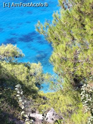 [P24] Turcoazul de vis al marii in Lefkada » foto by ilee
 - 
<span class="allrVoted glyphicon glyphicon-heart hidden" id="av1541294"></span>
<a class="m-l-10 hidden" id="sv1541294" onclick="voting_Foto_DelVot(,1541294,12776)" role="button">șterge vot <span class="glyphicon glyphicon-remove"></span></a>
<a id="v91541294" class=" c-red"  onclick="voting_Foto_SetVot(1541294)" role="button"><span class="glyphicon glyphicon-heart-empty"></span> <b>LIKE</b> = Votează poza</a> <img class="hidden"  id="f1541294W9" src="/imagini/loader.gif" border="0" /><span class="AjErrMes hidden" id="e1541294ErM"></span>