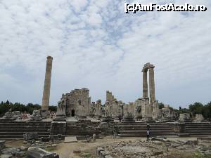 P14 [JUN-2013] Templul lui Apollo din Didim - fațada (sau cel puțin ce a rămas din ea). 