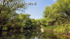 [P22] Canalul îndrăgostiților » foto by pepsi70ro
 - 
<span class="allrVoted glyphicon glyphicon-heart hidden" id="av1529628"></span>
<a class="m-l-10 hidden" id="sv1529628" onclick="voting_Foto_DelVot(,1529628,12857)" role="button">șterge vot <span class="glyphicon glyphicon-remove"></span></a>
<a id="v91529628" class=" c-red"  onclick="voting_Foto_SetVot(1529628)" role="button"><span class="glyphicon glyphicon-heart-empty"></span> <b>LIKE</b> = Votează poza</a> <img class="hidden"  id="f1529628W9" src="/imagini/loader.gif" border="0" /><span class="AjErrMes hidden" id="e1529628ErM"></span>