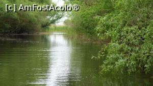 [P25] Canale în Delta Dunării » foto by pepsi70ro
 - 
<span class="allrVoted glyphicon glyphicon-heart hidden" id="av1529631"></span>
<a class="m-l-10 hidden" id="sv1529631" onclick="voting_Foto_DelVot(,1529631,12857)" role="button">șterge vot <span class="glyphicon glyphicon-remove"></span></a>
<a id="v91529631" class=" c-red"  onclick="voting_Foto_SetVot(1529631)" role="button"><span class="glyphicon glyphicon-heart-empty"></span> <b>LIKE</b> = Votează poza</a> <img class="hidden"  id="f1529631W9" src="/imagini/loader.gif" border="0" /><span class="AjErrMes hidden" id="e1529631ErM"></span>
