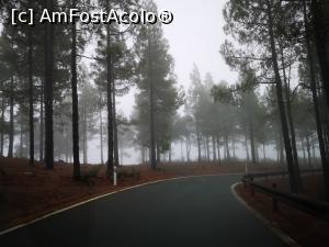 P16 [JAN-2022] La munte în Gran Canaria; aproape de vârfurile cele mai înalte vremea este mereu schimbătoare