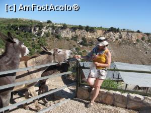 [P26] Hrănindu-i pe măgarii de la Donkey Farm. Măgari, într-adevăr! Mi-a zburat pălăria în cușca lor și mi-au făcut-o praf.  » foto by Aurici
 - 
<span class="allrVoted glyphicon glyphicon-heart hidden" id="av757707"></span>
<a class="m-l-10 hidden" id="sv757707" onclick="voting_Foto_DelVot(,757707,13279)" role="button">șterge vot <span class="glyphicon glyphicon-remove"></span></a>
<a id="v9757707" class=" c-red"  onclick="voting_Foto_SetVot(757707)" role="button"><span class="glyphicon glyphicon-heart-empty"></span> <b>LIKE</b> = Votează poza</a> <img class="hidden"  id="f757707W9" src="/imagini/loader.gif" border="0" /><span class="AjErrMes hidden" id="e757707ErM"></span>