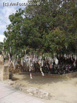 P16 [APR-2018] Agia Solomoni: copacul de fistic plin cu batiste pe care sunt trecute dorinţe sau 'pomul cu batiste'