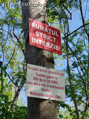 [P20] No comment; cu siguranță 'există o explicație'!🙂 » foto by crismis
 - 
<span class="allrVoted glyphicon glyphicon-heart hidden" id="av1491067"></span>
<a class="m-l-10 hidden" id="sv1491067" onclick="voting_Foto_DelVot(,1491067,13316)" role="button">șterge vot <span class="glyphicon glyphicon-remove"></span></a>
<a id="v91491067" class=" c-red"  onclick="voting_Foto_SetVot(1491067)" role="button"><span class="glyphicon glyphicon-heart-empty"></span> <b>LIKE</b> = Votează poza</a> <img class="hidden"  id="f1491067W9" src="/imagini/loader.gif" border="0" /><span class="AjErrMes hidden" id="e1491067ErM"></span>