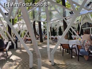 [P05] Terasă exterioara » foto by crismis
 - 
<span class="allrVoted glyphicon glyphicon-heart hidden" id="av1491052"></span>
<a class="m-l-10 hidden" id="sv1491052" onclick="voting_Foto_DelVot(,1491052,13316)" role="button">șterge vot <span class="glyphicon glyphicon-remove"></span></a>
<a id="v91491052" class=" c-red"  onclick="voting_Foto_SetVot(1491052)" role="button"><span class="glyphicon glyphicon-heart-empty"></span> <b>LIKE</b> = Votează poza</a> <img class="hidden"  id="f1491052W9" src="/imagini/loader.gif" border="0" /><span class="AjErrMes hidden" id="e1491052ErM"></span>