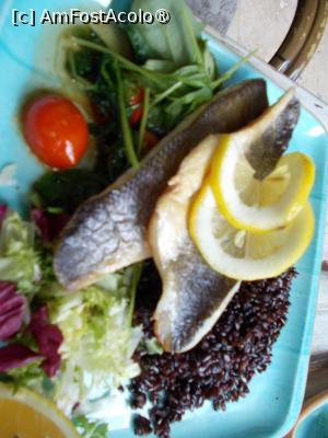 [P16] File de biban de mare » foto by Zoazore
 - 
<span class="allrVoted glyphicon glyphicon-heart hidden" id="av1532305"></span>
<a class="m-l-10 hidden" id="sv1532305" onclick="voting_Foto_DelVot(,1532305,13316)" role="button">șterge vot <span class="glyphicon glyphicon-remove"></span></a>
<a id="v91532305" class=" c-red"  onclick="voting_Foto_SetVot(1532305)" role="button"><span class="glyphicon glyphicon-heart-empty"></span> <b>LIKE</b> = Votează poza</a> <img class="hidden"  id="f1532305W9" src="/imagini/loader.gif" border="0" /><span class="AjErrMes hidden" id="e1532305ErM"></span>