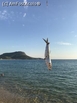 P17 [SEP-2018] Asta e momeala din undița unui grec, pe plaja Toroni, lângă turiști