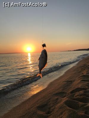 P18 [SEP-2018] La apus, pescarul amator a prins un peștișor mai mare decât momeala. A rămas doar capul din momeală