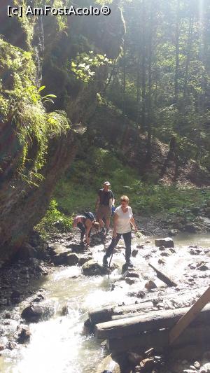 [P18] traversand paraul din piatra in piatra, Cheile Moara Dracului » foto by raducondurache
 - 
<span class="allrVoted glyphicon glyphicon-heart hidden" id="av998749"></span>
<a class="m-l-10 hidden" id="sv998749" onclick="voting_Foto_DelVot(,998749,13504)" role="button">șterge vot <span class="glyphicon glyphicon-remove"></span></a>
<a id="v9998749" class=" c-red"  onclick="voting_Foto_SetVot(998749)" role="button"><span class="glyphicon glyphicon-heart-empty"></span> <b>LIKE</b> = Votează poza</a> <img class="hidden"  id="f998749W9" src="/imagini/loader.gif" border="0" /><span class="AjErrMes hidden" id="e998749ErM"></span>