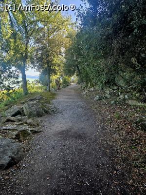 [P26] Lago Trasimeno - insula Maggiore » foto by Chloe
 - 
<span class="allrVoted glyphicon glyphicon-heart hidden" id="av1452837"></span>
<a class="m-l-10 hidden" id="sv1452837" onclick="voting_Foto_DelVot(,1452837,13517)" role="button">șterge vot <span class="glyphicon glyphicon-remove"></span></a>
<a id="v91452837" class=" c-red"  onclick="voting_Foto_SetVot(1452837)" role="button"><span class="glyphicon glyphicon-heart-empty"></span> <b>LIKE</b> = Votează poza</a> <img class="hidden"  id="f1452837W9" src="/imagini/loader.gif" border="0" /><span class="AjErrMes hidden" id="e1452837ErM"></span>