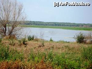 [P115] Colonie de pelicani în largul lacului Nebunu, imagine surprinsă în timpul croazierei în Delta Dunării, de la bordul navei ”Delta II” » foto by mariana.olaru
 - 
<span class="allrVoted glyphicon glyphicon-heart hidden" id="av400870"></span>
<a class="m-l-10 hidden" id="sv400870" onclick="voting_Foto_DelVot(,400870,13626)" role="button">șterge vot <span class="glyphicon glyphicon-remove"></span></a>
<a id="v9400870" class=" c-red"  onclick="voting_Foto_SetVot(400870)" role="button"><span class="glyphicon glyphicon-heart-empty"></span> <b>LIKE</b> = Votează poza</a> <img class="hidden"  id="f400870W9" src="/imagini/loader.gif" border="0" /><span class="AjErrMes hidden" id="e400870ErM"></span>