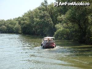 P41 [JUN-2012] Peisaj surprins în timpul croazierei în Delta Dunării, de la bordul navei ”Delta II”