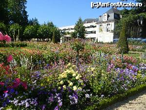 [P34] Bourges - Le Jardin de l'Archeveche - culoare și parfum.  » foto by doina_c24
 - 
<span class="allrVoted glyphicon glyphicon-heart hidden" id="av401887"></span>
<a class="m-l-10 hidden" id="sv401887" onclick="voting_Foto_DelVot(,401887,13666)" role="button">șterge vot <span class="glyphicon glyphicon-remove"></span></a>
<a id="v9401887" class=" c-red"  onclick="voting_Foto_SetVot(401887)" role="button"><span class="glyphicon glyphicon-heart-empty"></span> <b>LIKE</b> = Votează poza</a> <img class="hidden"  id="f401887W9" src="/imagini/loader.gif" border="0" /><span class="AjErrMes hidden" id="e401887ErM"></span>