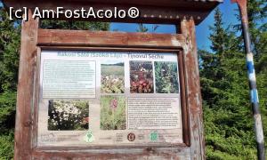 [P03] Panoul cu Tinovul (turbpăria) Seche, rezervaţie naturală, situatî în zona de creastă, în drum spre vârf. Are plante carnivore (roua cerului şi foaia grasă) şi o subspecie loaclă de orhidee. Este acoperită de jepi şi afine pe un substrat turbos, umed.  » foto by Lucien
 - 
<span class="allrVoted glyphicon glyphicon-heart hidden" id="av780700"></span>
<a class="m-l-10 hidden" id="sv780700" onclick="voting_Foto_DelVot(,780700,13675)" role="button">șterge vot <span class="glyphicon glyphicon-remove"></span></a>
<a id="v9780700" class=" c-red"  onclick="voting_Foto_SetVot(780700)" role="button"><span class="glyphicon glyphicon-heart-empty"></span> <b>LIKE</b> = Votează poza</a> <img class="hidden"  id="f780700W9" src="/imagini/loader.gif" border="0" /><span class="AjErrMes hidden" id="e780700ErM"></span>