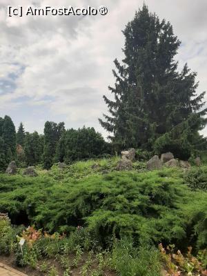 [P43] Spre Rosarium » foto by Zoazore
 - 
<span class="allrVoted glyphicon glyphicon-heart hidden" id="av1532489"></span>
<a class="m-l-10 hidden" id="sv1532489" onclick="voting_Foto_DelVot(,1532489,13735)" role="button">șterge vot <span class="glyphicon glyphicon-remove"></span></a>
<a id="v91532489" class=" c-red"  onclick="voting_Foto_SetVot(1532489)" role="button"><span class="glyphicon glyphicon-heart-empty"></span> <b>LIKE</b> = Votează poza</a> <img class="hidden"  id="f1532489W9" src="/imagini/loader.gif" border="0" /><span class="AjErrMes hidden" id="e1532489ErM"></span>