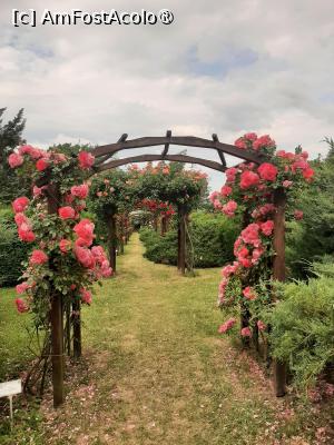 [P44] Prin Rosarium » foto by Zoazore
 - 
<span class="allrVoted glyphicon glyphicon-heart hidden" id="av1532490"></span>
<a class="m-l-10 hidden" id="sv1532490" onclick="voting_Foto_DelVot(,1532490,13735)" role="button">șterge vot <span class="glyphicon glyphicon-remove"></span></a>
<a id="v91532490" class=" c-red"  onclick="voting_Foto_SetVot(1532490)" role="button"><span class="glyphicon glyphicon-heart-empty"></span> <b>LIKE</b> = Votează poza</a> <img class="hidden"  id="f1532490W9" src="/imagini/loader.gif" border="0" /><span class="AjErrMes hidden" id="e1532490ErM"></span>