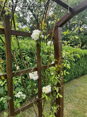 [P46] Prin Rosarium » foto by Zoazore
 - 
<span class="allrVoted glyphicon glyphicon-heart hidden" id="av1532492"></span>
<a class="m-l-10 hidden" id="sv1532492" onclick="voting_Foto_DelVot(,1532492,13735)" role="button">șterge vot <span class="glyphicon glyphicon-remove"></span></a>
<a id="v91532492" class=" c-red"  onclick="voting_Foto_SetVot(1532492)" role="button"><span class="glyphicon glyphicon-heart-empty"></span> <b>LIKE</b> = Votează poza</a> <img class="hidden"  id="f1532492W9" src="/imagini/loader.gif" border="0" /><span class="AjErrMes hidden" id="e1532492ErM"></span>