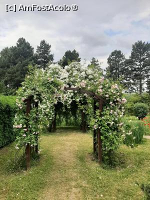 [P47] Prin Rosarium » foto by Zoazore
 - 
<span class="allrVoted glyphicon glyphicon-heart hidden" id="av1532493"></span>
<a class="m-l-10 hidden" id="sv1532493" onclick="voting_Foto_DelVot(,1532493,13735)" role="button">șterge vot <span class="glyphicon glyphicon-remove"></span></a>
<a id="v91532493" class=" c-red"  onclick="voting_Foto_SetVot(1532493)" role="button"><span class="glyphicon glyphicon-heart-empty"></span> <b>LIKE</b> = Votează poza</a> <img class="hidden"  id="f1532493W9" src="/imagini/loader.gif" border="0" /><span class="AjErrMes hidden" id="e1532493ErM"></span>