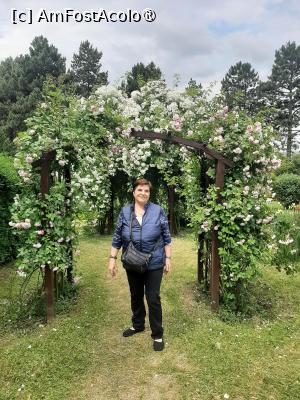 [P48] Prin Rosarium Chiar AmFostAcolo » foto by Zoazore
 - 
<span class="allrVoted glyphicon glyphicon-heart hidden" id="av1532494"></span>
<a class="m-l-10 hidden" id="sv1532494" onclick="voting_Foto_DelVot(,1532494,13735)" role="button">șterge vot <span class="glyphicon glyphicon-remove"></span></a>
<a id="v91532494" class=" c-red"  onclick="voting_Foto_SetVot(1532494)" role="button"><span class="glyphicon glyphicon-heart-empty"></span> <b>LIKE</b> = Votează poza</a> <img class="hidden"  id="f1532494W9" src="/imagini/loader.gif" border="0" /><span class="AjErrMes hidden" id="e1532494ErM"></span>