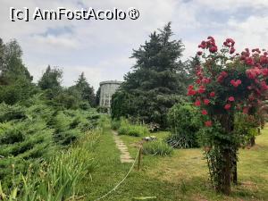 [P52] Prin Rosarium » foto by Zoazore
 - 
<span class="allrVoted glyphicon glyphicon-heart hidden" id="av1532498"></span>
<a class="m-l-10 hidden" id="sv1532498" onclick="voting_Foto_DelVot(,1532498,13735)" role="button">șterge vot <span class="glyphicon glyphicon-remove"></span></a>
<a id="v91532498" class=" c-red"  onclick="voting_Foto_SetVot(1532498)" role="button"><span class="glyphicon glyphicon-heart-empty"></span> <b>LIKE</b> = Votează poza</a> <img class="hidden"  id="f1532498W9" src="/imagini/loader.gif" border="0" /><span class="AjErrMes hidden" id="e1532498ErM"></span>