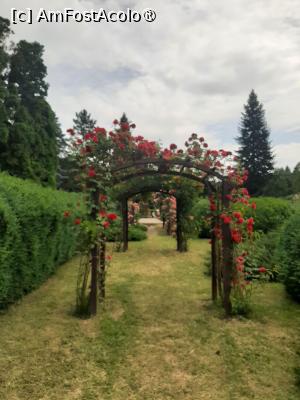 [P53] Prin Rosarium » foto by Zoazore
 - 
<span class="allrVoted glyphicon glyphicon-heart hidden" id="av1532499"></span>
<a class="m-l-10 hidden" id="sv1532499" onclick="voting_Foto_DelVot(,1532499,13735)" role="button">șterge vot <span class="glyphicon glyphicon-remove"></span></a>
<a id="v91532499" class=" c-red"  onclick="voting_Foto_SetVot(1532499)" role="button"><span class="glyphicon glyphicon-heart-empty"></span> <b>LIKE</b> = Votează poza</a> <img class="hidden"  id="f1532499W9" src="/imagini/loader.gif" border="0" /><span class="AjErrMes hidden" id="e1532499ErM"></span>