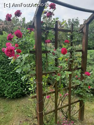[P54] Prin Rosarium » foto by Zoazore
 - 
<span class="allrVoted glyphicon glyphicon-heart hidden" id="av1532500"></span>
<a class="m-l-10 hidden" id="sv1532500" onclick="voting_Foto_DelVot(,1532500,13735)" role="button">șterge vot <span class="glyphicon glyphicon-remove"></span></a>
<a id="v91532500" class=" c-red"  onclick="voting_Foto_SetVot(1532500)" role="button"><span class="glyphicon glyphicon-heart-empty"></span> <b>LIKE</b> = Votează poza</a> <img class="hidden"  id="f1532500W9" src="/imagini/loader.gif" border="0" /><span class="AjErrMes hidden" id="e1532500ErM"></span>