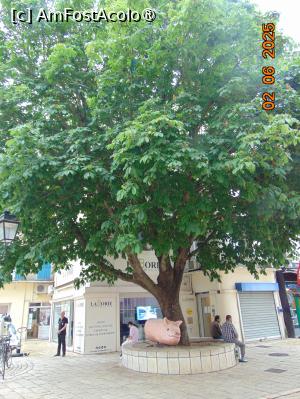 [P02] la pas prin Orange » foto by Yolanda
 - 
<span class="allrVoted glyphicon glyphicon-heart hidden" id="av1516562"></span>
<a class="m-l-10 hidden" id="sv1516562" onclick="voting_Foto_DelVot(,1516562,13769)" role="button">șterge vot <span class="glyphicon glyphicon-remove"></span></a>
<a id="v91516562" class=" c-red"  onclick="voting_Foto_SetVot(1516562)" role="button"><span class="glyphicon glyphicon-heart-empty"></span> <b>LIKE</b> = Votează poza</a> <img class="hidden"  id="f1516562W9" src="/imagini/loader.gif" border="0" /><span class="AjErrMes hidden" id="e1516562ErM"></span>