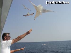 P03 [SEP-2012] 1. Limenas Thasos Grecia - Pe feribot (15) 