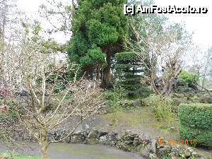 [P06] Kildare - Irish National Stud & Japanese Gardens - Gradina japoneza de la Tully a luat nastere intre 1906 si 1910.  » foto by Diaura*
 - 
<span class="allrVoted glyphicon glyphicon-heart hidden" id="av410167"></span>
<a class="m-l-10 hidden" id="sv410167" onclick="voting_Foto_DelVot(,410167,13851)" role="button">șterge vot <span class="glyphicon glyphicon-remove"></span></a>
<a id="v9410167" class=" c-red"  onclick="voting_Foto_SetVot(410167)" role="button"><span class="glyphicon glyphicon-heart-empty"></span> <b>LIKE</b> = Votează poza</a> <img class="hidden"  id="f410167W9" src="/imagini/loader.gif" border="0" /><span class="AjErrMes hidden" id="e410167ErM"></span>