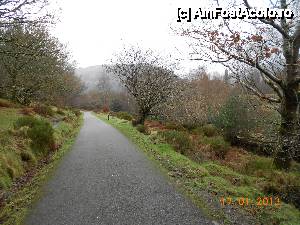 [P11] Wicklow Mountains National Park , alee asfaltata prin padure. » foto by Diaura*
 - 
<span class="allrVoted glyphicon glyphicon-heart hidden" id="av411632"></span>
<a class="m-l-10 hidden" id="sv411632" onclick="voting_Foto_DelVot(,411632,13899)" role="button">șterge vot <span class="glyphicon glyphicon-remove"></span></a>
<a id="v9411632" class=" c-red"  onclick="voting_Foto_SetVot(411632)" role="button"><span class="glyphicon glyphicon-heart-empty"></span> <b>LIKE</b> = Votează poza</a> <img class="hidden"  id="f411632W9" src="/imagini/loader.gif" border="0" /><span class="AjErrMes hidden" id="e411632ErM"></span>