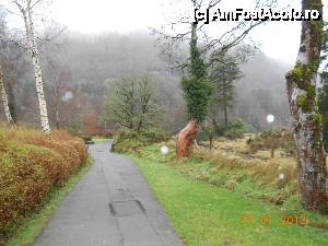 [P22] Parecul National Glendalough, alta alee prin parc.  » foto by Diaura*
 - 
<span class="allrVoted glyphicon glyphicon-heart hidden" id="av411643"></span>
<a class="m-l-10 hidden" id="sv411643" onclick="voting_Foto_DelVot(,411643,13899)" role="button">șterge vot <span class="glyphicon glyphicon-remove"></span></a>
<a id="v9411643" class=" c-red"  onclick="voting_Foto_SetVot(411643)" role="button"><span class="glyphicon glyphicon-heart-empty"></span> <b>LIKE</b> = Votează poza</a> <img class="hidden"  id="f411643W9" src="/imagini/loader.gif" border="0" /><span class="AjErrMes hidden" id="e411643ErM"></span>