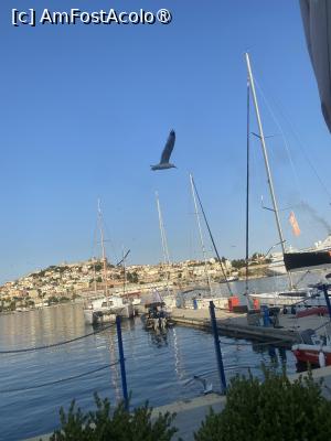 [P07] Portul » foto by ManuelaManu
 - 
<span class="allrVoted glyphicon glyphicon-heart hidden" id="av1489805"></span>
<a class="m-l-10 hidden" id="sv1489805" onclick="voting_Foto_DelVot(,1489805,13949)" role="button">șterge vot <span class="glyphicon glyphicon-remove"></span></a>
<a id="v91489805" class=" c-red"  onclick="voting_Foto_SetVot(1489805)" role="button"><span class="glyphicon glyphicon-heart-empty"></span> <b>LIKE</b> = Votează poza</a> <img class="hidden"  id="f1489805W9" src="/imagini/loader.gif" border="0" /><span class="AjErrMes hidden" id="e1489805ErM"></span>