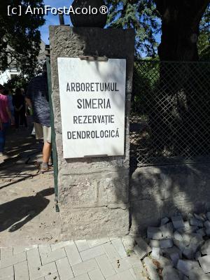 [P01] Parcul dendrologic (Arboretum) din Simeria » foto by Carmen Ion
 - 
<span class="allrVoted glyphicon glyphicon-heart hidden" id="av1511400"></span>
<a class="m-l-10 hidden" id="sv1511400" onclick="voting_Foto_DelVot(,1511400,13964)" role="button">șterge vot <span class="glyphicon glyphicon-remove"></span></a>
<a id="v91511400" class=" c-red"  onclick="voting_Foto_SetVot(1511400)" role="button"><span class="glyphicon glyphicon-heart-empty"></span> <b>LIKE</b> = Votează poza</a> <img class="hidden"  id="f1511400W9" src="/imagini/loader.gif" border="0" /><span class="AjErrMes hidden" id="e1511400ErM"></span>