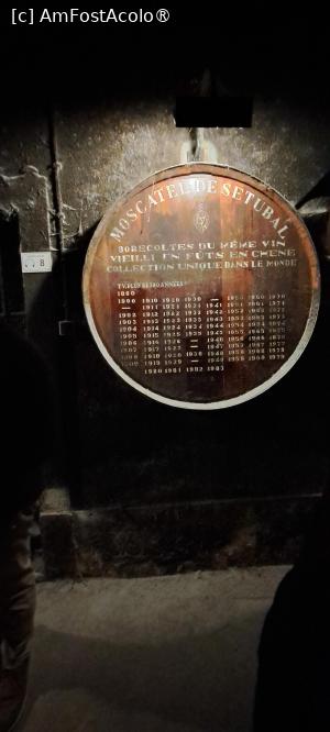 [P28] Vinăria José Maria da Fonseca, printre butoaiele de Moscatel » foto by irinad
 - 
<span class="allrVoted glyphicon glyphicon-heart hidden" id="av1474474"></span>
<a class="m-l-10 hidden" id="sv1474474" onclick="voting_Foto_DelVot(,1474474,14135)" role="button">șterge vot <span class="glyphicon glyphicon-remove"></span></a>
<a id="v91474474" class=" c-red"  onclick="voting_Foto_SetVot(1474474)" role="button"><span class="glyphicon glyphicon-heart-empty"></span> <b>LIKE</b> = Votează poza</a> <img class="hidden"  id="f1474474W9" src="/imagini/loader.gif" border="0" /><span class="AjErrMes hidden" id="e1474474ErM"></span>