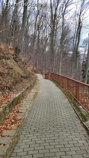 [P10] Aleea de cura balneara dintre Calimanesti si Caciulata » foto by vlado2
 - 
<span class="allrVoted glyphicon glyphicon-heart hidden" id="av1523703"></span>
<a class="m-l-10 hidden" id="sv1523703" onclick="voting_Foto_DelVot(,1523703,14154)" role="button">șterge vot <span class="glyphicon glyphicon-remove"></span></a>
<a id="v91523703" class=" c-red"  onclick="voting_Foto_SetVot(1523703)" role="button"><span class="glyphicon glyphicon-heart-empty"></span> <b>LIKE</b> = Votează poza</a> <img class="hidden"  id="f1523703W9" src="/imagini/loader.gif" border="0" /><span class="AjErrMes hidden" id="e1523703ErM"></span>