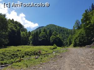 [P12] După o oră de mers, am părăsit Valea Urlătorii și am intrat pe o porțiune de traseu cu urcuș mai pronunțat.  » foto by Floryn81
 - 
<span class="allrVoted glyphicon glyphicon-heart hidden" id="av1084109"></span>
<a class="m-l-10 hidden" id="sv1084109" onclick="voting_Foto_DelVot(,1084109,14170)" role="button">șterge vot <span class="glyphicon glyphicon-remove"></span></a>
<a id="v91084109" class=" c-red"  onclick="voting_Foto_SetVot(1084109)" role="button"><span class="glyphicon glyphicon-heart-empty"></span> <b>LIKE</b> = Votează poza</a> <img class="hidden"  id="f1084109W9" src="/imagini/loader.gif" border="0" /><span class="AjErrMes hidden" id="e1084109ErM"></span>