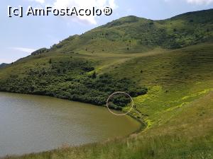 [P33] În zona încercuită se află izvorul amenajat, sursa de apă de lângă Lacul Vulturilor.  » foto by Floryn81
 - 
<span class="allrVoted glyphicon glyphicon-heart hidden" id="av1084130"></span>
<a class="m-l-10 hidden" id="sv1084130" onclick="voting_Foto_DelVot(,1084130,14170)" role="button">șterge vot <span class="glyphicon glyphicon-remove"></span></a>
<a id="v91084130" class=" c-red"  onclick="voting_Foto_SetVot(1084130)" role="button"><span class="glyphicon glyphicon-heart-empty"></span> <b>LIKE</b> = Votează poza</a> <img class="hidden"  id="f1084130W9" src="/imagini/loader.gif" border="0" /><span class="AjErrMes hidden" id="e1084130ErM"></span>