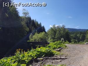 [P06] Podul peste pârâul Crasna, locul de unde am început drumeția către Lacul Vulturilor. Am urmărit marcajul ”triunghi albastru”.  » foto by Floryn81
 - 
<span class="allrVoted glyphicon glyphicon-heart hidden" id="av1084103"></span>
<a class="m-l-10 hidden" id="sv1084103" onclick="voting_Foto_DelVot(,1084103,14170)" role="button">șterge vot <span class="glyphicon glyphicon-remove"></span></a>
<a id="v91084103" class=" c-red"  onclick="voting_Foto_SetVot(1084103)" role="button"><span class="glyphicon glyphicon-heart-empty"></span> <b>LIKE</b> = Votează poza</a> <img class="hidden"  id="f1084103W9" src="/imagini/loader.gif" border="0" /><span class="AjErrMes hidden" id="e1084103ErM"></span>