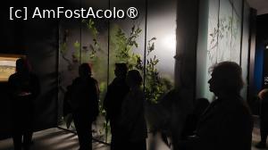 [P31] Panotaj interesant - ”pădurea” verde în atmosfera căreia sunt prezentate peisajele lui Andreescu și Grigorescu » foto by Carmen Ion
 - 
<span class="allrVoted glyphicon glyphicon-heart hidden" id="av1483894"></span>
<a class="m-l-10 hidden" id="sv1483894" onclick="voting_Foto_DelVot(,1483894,14175)" role="button">șterge vot <span class="glyphicon glyphicon-remove"></span></a>
<a id="v91483894" class=" c-red"  onclick="voting_Foto_SetVot(1483894)" role="button"><span class="glyphicon glyphicon-heart-empty"></span> <b>LIKE</b> = Votează poza</a> <img class="hidden"  id="f1483894W9" src="/imagini/loader.gif" border="0" /><span class="AjErrMes hidden" id="e1483894ErM"></span>