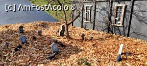 [P15] Cimitirul improvizat. » foto by tata123 🔱
 - 
<span class="allrVoted glyphicon glyphicon-heart hidden" id="av1503748"></span>
<a class="m-l-10 hidden" id="sv1503748" onclick="voting_Foto_DelVot(,1503748,14175)" role="button">șterge vot <span class="glyphicon glyphicon-remove"></span></a>
<a id="v91503748" class=" c-red"  onclick="voting_Foto_SetVot(1503748)" role="button"><span class="glyphicon glyphicon-heart-empty"></span> <b>LIKE</b> = Votează poza</a> <img class="hidden"  id="f1503748W9" src="/imagini/loader.gif" border="0" /><span class="AjErrMes hidden" id="e1503748ErM"></span>