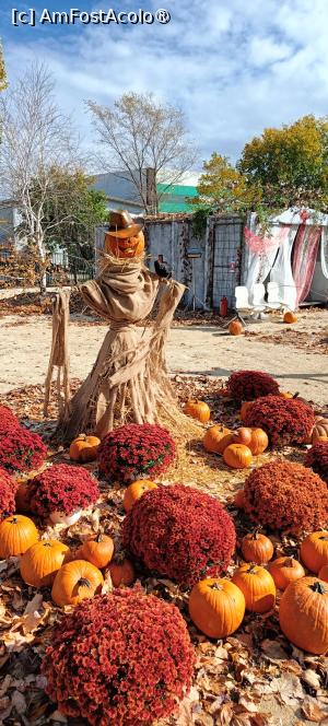 [P17] Sperietoarea de ciori. » foto by tata123 🔱
 - 
<span class="allrVoted glyphicon glyphicon-heart hidden" id="av1503750"></span>
<a class="m-l-10 hidden" id="sv1503750" onclick="voting_Foto_DelVot(,1503750,14175)" role="button">șterge vot <span class="glyphicon glyphicon-remove"></span></a>
<a id="v91503750" class=" c-red"  onclick="voting_Foto_SetVot(1503750)" role="button"><span class="glyphicon glyphicon-heart-empty"></span> <b>LIKE</b> = Votează poza</a> <img class="hidden"  id="f1503750W9" src="/imagini/loader.gif" border="0" /><span class="AjErrMes hidden" id="e1503750ErM"></span>