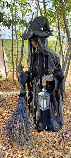 [P18] Vrăjitoarea „clasică”. » foto by tata123 🔱
 - 
<span class="allrVoted glyphicon glyphicon-heart hidden" id="av1503751"></span>
<a class="m-l-10 hidden" id="sv1503751" onclick="voting_Foto_DelVot(,1503751,14175)" role="button">șterge vot <span class="glyphicon glyphicon-remove"></span></a>
<a id="v91503751" class=" c-red"  onclick="voting_Foto_SetVot(1503751)" role="button"><span class="glyphicon glyphicon-heart-empty"></span> <b>LIKE</b> = Votează poza</a> <img class="hidden"  id="f1503751W9" src="/imagini/loader.gif" border="0" /><span class="AjErrMes hidden" id="e1503751ErM"></span>