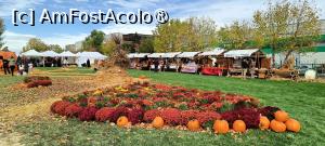 [P02] Zonă comercianți. » foto by tata123 🔱
 - 
<span class="allrVoted glyphicon glyphicon-heart hidden" id="av1503735"></span>
<a class="m-l-10 hidden" id="sv1503735" onclick="voting_Foto_DelVot(,1503735,14175)" role="button">șterge vot <span class="glyphicon glyphicon-remove"></span></a>
<a id="v91503735" class=" c-red"  onclick="voting_Foto_SetVot(1503735)" role="button"><span class="glyphicon glyphicon-heart-empty"></span> <b>LIKE</b> = Votează poza</a> <img class="hidden"  id="f1503735W9" src="/imagini/loader.gif" border="0" /><span class="AjErrMes hidden" id="e1503735ErM"></span>