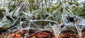 [P04] Punct de fotografii. » foto by tata123 🔱
 - 
<span class="allrVoted glyphicon glyphicon-heart hidden" id="av1503737"></span>
<a class="m-l-10 hidden" id="sv1503737" onclick="voting_Foto_DelVot(,1503737,14175)" role="button">șterge vot <span class="glyphicon glyphicon-remove"></span></a>
<a id="v91503737" class=" c-red"  onclick="voting_Foto_SetVot(1503737)" role="button"><span class="glyphicon glyphicon-heart-empty"></span> <b>LIKE</b> = Votează poza</a> <img class="hidden"  id="f1503737W9" src="/imagini/loader.gif" border="0" /><span class="AjErrMes hidden" id="e1503737ErM"></span>