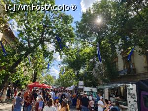 [P07] Festivalul grecesc. » foto by tata123 🔱
 - 
<span class="allrVoted glyphicon glyphicon-heart hidden" id="av1537660"></span>
<a class="m-l-10 hidden" id="sv1537660" onclick="voting_Foto_DelVot(,1537660,14175)" role="button">șterge vot <span class="glyphicon glyphicon-remove"></span></a>
<a id="v91537660" class=" c-red"  onclick="voting_Foto_SetVot(1537660)" role="button"><span class="glyphicon glyphicon-heart-empty"></span> <b>LIKE</b> = Votează poza</a> <img class="hidden"  id="f1537660W9" src="/imagini/loader.gif" border="0" /><span class="AjErrMes hidden" id="e1537660ErM"></span>