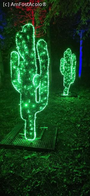 [P17] Lumina Park - 2026. » foto by tata123 🔱
 - 
<span class="allrVoted glyphicon glyphicon-heart hidden" id="av1548628"></span>
<a class="m-l-10 hidden" id="sv1548628" onclick="voting_Foto_DelVot(,1548628,14175)" role="button">șterge vot <span class="glyphicon glyphicon-remove"></span></a>
<a id="v91548628" class=" c-red"  onclick="voting_Foto_SetVot(1548628)" role="button"><span class="glyphicon glyphicon-heart-empty"></span> <b>LIKE</b> = Votează poza</a> <img class="hidden"  id="f1548628W9" src="/imagini/loader.gif" border="0" /><span class="AjErrMes hidden" id="e1548628ErM"></span>