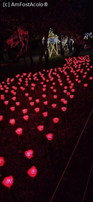 [P24] Lumina Park - 2026. » foto by tata123 🔱
 - 
<span class="allrVoted glyphicon glyphicon-heart hidden" id="av1548635"></span>
<a class="m-l-10 hidden" id="sv1548635" onclick="voting_Foto_DelVot(,1548635,14175)" role="button">șterge vot <span class="glyphicon glyphicon-remove"></span></a>
<a id="v91548635" class=" c-red"  onclick="voting_Foto_SetVot(1548635)" role="button"><span class="glyphicon glyphicon-heart-empty"></span> <b>LIKE</b> = Votează poza</a> <img class="hidden"  id="f1548635W9" src="/imagini/loader.gif" border="0" /><span class="AjErrMes hidden" id="e1548635ErM"></span>