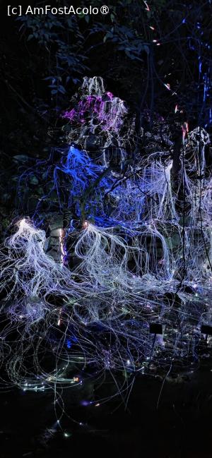 [P25] Lumina Park - 2026. » foto by tata123 🔱
 - 
<span class="allrVoted glyphicon glyphicon-heart hidden" id="av1548636"></span>
<a class="m-l-10 hidden" id="sv1548636" onclick="voting_Foto_DelVot(,1548636,14175)" role="button">șterge vot <span class="glyphicon glyphicon-remove"></span></a>
<a id="v91548636" class=" c-red"  onclick="voting_Foto_SetVot(1548636)" role="button"><span class="glyphicon glyphicon-heart-empty"></span> <b>LIKE</b> = Votează poza</a> <img class="hidden"  id="f1548636W9" src="/imagini/loader.gif" border="0" /><span class="AjErrMes hidden" id="e1548636ErM"></span>